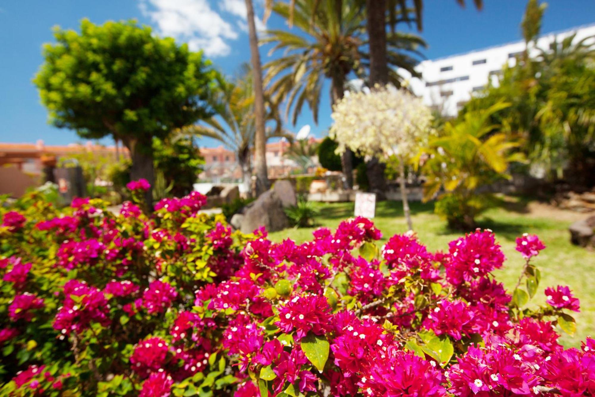 Jardín del Sol Playa del Inglés Exterior foto